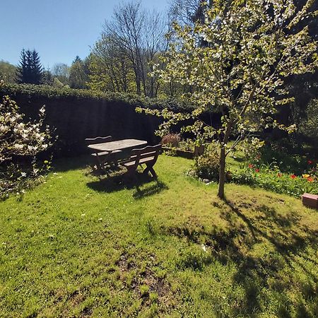 Apartament Alte Forsterei Altenbrak Pokój zdjęcie