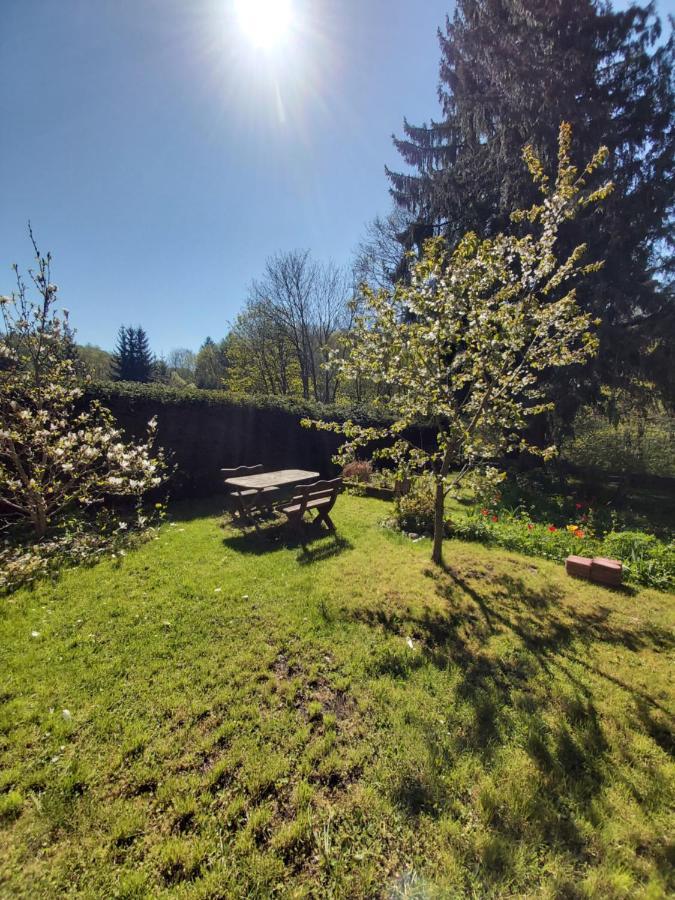 Apartament Alte Forsterei Altenbrak Zewnętrze zdjęcie